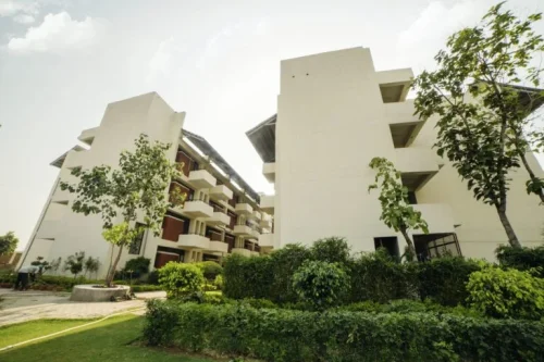 0C3A8953-scaled-9-768x512